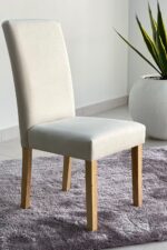 dining chair, dining chairs, modern dining chair, luxury dining chair, wooden dining chair, upholstered dining chair, fabric dining chair, leather dining chair, velvet dining chair, metal dining chair, plastic dining chair, contemporary dining chair, classic dining chair, minimalist dining chair, ergonomic dining chair, comfortable dining chair, designer dining chair, premium dining chair, affordable dining chair, luxury dining chairs, dining room chair, dining seating, kitchen dining chair, restaurant dining chair, hotel dining chair, café dining chair, commercial dining chair, residential dining chair, indoor dining chair, home dining chair, dining furniture, dining room furniture, kitchen furniture, dining chair set, dining chair pair, dining chair collection, stackable dining chair, foldable dining chair, arm dining chair, armless dining chair, high back dining chair, low back dining chair, cushioned dining chair, padded dining chair, solid wood dining chair, oak dining chair, teak dining chair, mahogany dining chair, acacia wood dining chair, walnut dining chair, ash wood dining chair, beech wood dining chair, rattan dining chair, wicker dining chair, cane dining chair, bentwood dining chair, Scandinavian dining chair, Nordic dining chair, industrial dining chair, farmhouse dining chair,
