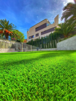 grass carpet Nairobi, grass carpets Nairobi, artificial grass carpet Nairobi, artificial grass Nairobi, synthetic grass carpet Nairobi, buy grass carpet Nairobi, grass carpet shop Nairobi, grass carpet for sale Nairobi, artificial turf carpet Nairobi, decorative grass carpet Nairobi, balcony grass carpet Nairobi, garden grass carpet Nairobi, outdoor artificial grass Nairobi, indoor grass carpet Nairobi, fake grass carpet Nairobi, green grass carpet Nairobi, artificial lawn carpet Nairobi, landscape grass carpet Nairobi, affordable grass carpet Nairobi, grass carpet delivery Nairobi, grass carpet Mombasa, grass carpets Mombasa, artificial grass carpet Mombasa, artificial grass Mombasa, synthetic grass carpet Mombasa, buy grass carpet Mombasa, grass carpet shop Mombasa, grass carpet for sale Mombasa, artificial turf carpet Mombasa, decorative grass carpet Mombasa, balcony grass carpet Mombasa, garden grass carpet Mombasa, outdoor artificial grass Mombasa, indoor grass carpet Mombasa, fake grass carpet Mombasa, green grass carpet Mombasa, artificial lawn carpet Mombasa, landscape grass carpet Mombasa, affordable grass carpet Mombasa, grass carpet delivery Mombasa, grass carpet Kisumu, grass carpets Kisumu, artificial grass carpet Kisumu, artificial grass Kisumu, synthetic grass carpet Kisumu, buy grass carpet Kisumu, grass carpet shop Kisumu, grass carpet for sale Kisumu, artificial turf carpet Kisumu, decorative grass carpet Kisumu, balcony grass carpet Kisumu, garden grass carpet Kisumu, outdoor artificial grass Kisumu, indoor grass carpet Kisumu, fake grass carpet Kisumu, green grass carpet Kisumu, artificial lawn carpet Kisumu, landscape grass carpet Kisumu, affordable grass carpet Kisumu, grass carpet delivery Kisumu, grass carpet Nakuru, grass carpets Nakuru, artificial grass carpet Nakuru, artificial grass Nakuru, synthetic grass carpet Nakuru, buy grass carpet Nakuru, grass carpet shop Nakuru, grass carpet for sale Nakuru, artificial turf carpet Nakuru, decorative grass carpet Nakuru, balcony grass carpet Nakuru, garden grass carpet Nakuru, outdoor artificial grass Nakuru, indoor grass carpet Nakuru, fake grass carpet Nakuru, green grass carpet Nakuru, artificial lawn carpet Nakuru, landscape grass carpet Nakuru, affordable grass carpet Nakuru, grass carpet delivery Nakuru, grass carpet Eldoret, grass carpets Eldoret, artificial grass carpet Eldoret, artificial grass Eldoret, synthetic grass carpet Eldoret, buy grass carpet Eldoret, grass carpet shop Eldoret