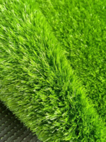 grass carpet Nairobi, grass carpets Nairobi, artificial grass carpet Nairobi, artificial grass Nairobi, synthetic grass carpet Nairobi, buy grass carpet Nairobi, grass carpet shop Nairobi, grass carpet for sale Nairobi, artificial turf carpet Nairobi, decorative grass carpet Nairobi, balcony grass carpet Nairobi, garden grass carpet Nairobi, outdoor artificial grass Nairobi, indoor grass carpet Nairobi, fake grass carpet Nairobi, green grass carpet Nairobi, artificial lawn carpet Nairobi, landscape grass carpet Nairobi, affordable grass carpet Nairobi, grass carpet delivery Nairobi, grass carpet Mombasa, grass carpets Mombasa, artificial grass carpet Mombasa, artificial grass Mombasa, synthetic grass carpet Mombasa, buy grass carpet Mombasa, grass carpet shop Mombasa, grass carpet for sale Mombasa, artificial turf carpet Mombasa, decorative grass carpet Mombasa, balcony grass carpet Mombasa, garden grass carpet Mombasa, outdoor artificial grass Mombasa, indoor grass carpet Mombasa, fake grass carpet Mombasa, green grass carpet Mombasa, artificial lawn carpet Mombasa, landscape grass carpet Mombasa, affordable grass carpet Mombasa, grass carpet delivery Mombasa, grass carpet Kisumu, grass carpets Kisumu, artificial grass carpet Kisumu, artificial grass Kisumu, synthetic grass carpet Kisumu, buy grass carpet Kisumu, grass carpet shop Kisumu, grass carpet for sale Kisumu, artificial turf carpet Kisumu, decorative grass carpet Kisumu, balcony grass carpet Kisumu, garden grass carpet Kisumu, outdoor artificial grass Kisumu, indoor grass carpet Kisumu, fake grass carpet Kisumu, green grass carpet Kisumu, artificial lawn carpet Kisumu, landscape grass carpet Kisumu, affordable grass carpet Kisumu, grass carpet delivery Kisumu, grass carpet Nakuru, grass carpets Nakuru, artificial grass carpet Nakuru, artificial grass Nakuru, synthetic grass carpet Nakuru, buy grass carpet Nakuru, grass carpet shop Nakuru, grass carpet for sale Nakuru, artificial turf carpet Nakuru, decorative grass carpet Nakuru, balcony grass carpet Nakuru, garden grass carpet Nakuru, outdoor artificial grass Nakuru, indoor grass carpet Nakuru, fake grass carpet Nakuru, green grass carpet Nakuru, artificial lawn carpet Nakuru, landscape grass carpet Nakuru, affordable grass carpet Nakuru, grass carpet delivery Nakuru, grass carpet Eldoret, grass carpets Eldoret, artificial grass carpet Eldoret, artificial grass Eldoret, synthetic grass carpet Eldoret, buy grass carpet Eldoret, grass carpet shop Eldoret